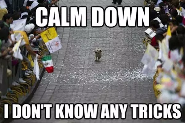 Calm Down
