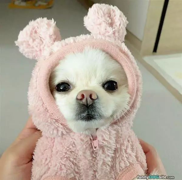 Cuddle Me