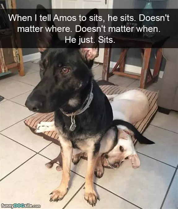 I Sit Right Now