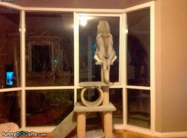 Hello Out There