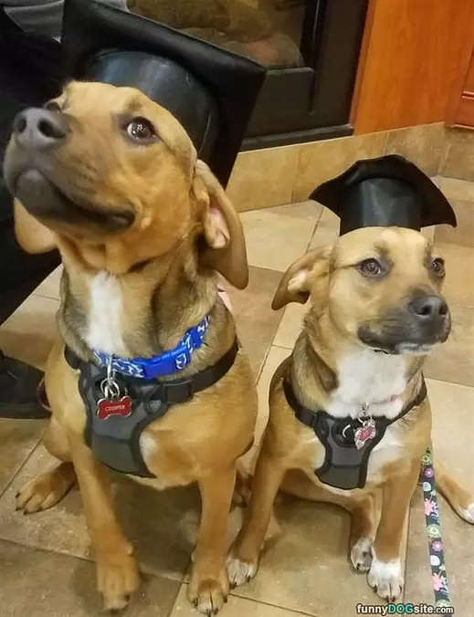 We Have Graduated