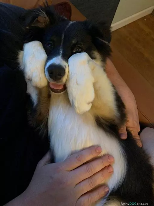Awwww