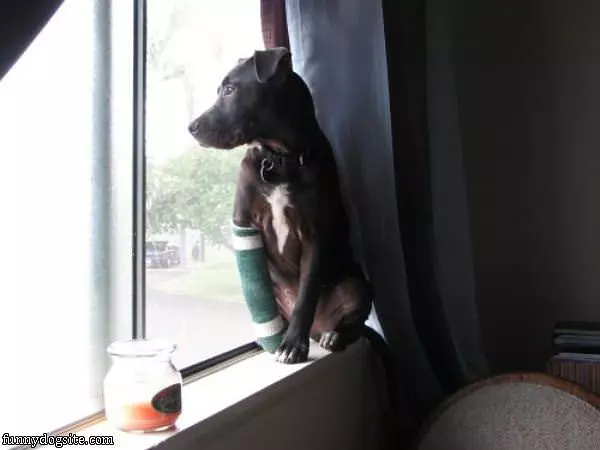 But I Want To Go Outside