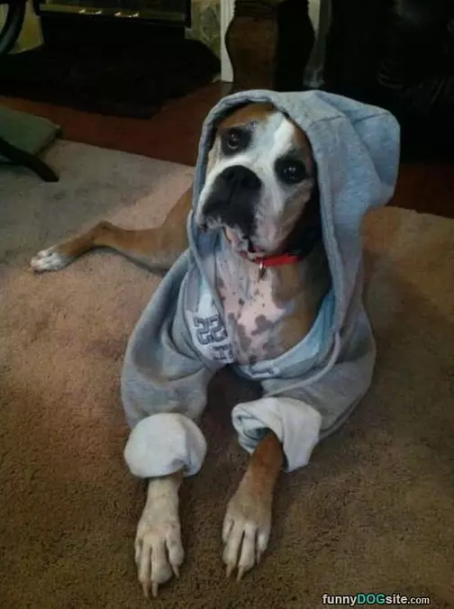 In Da Hood
