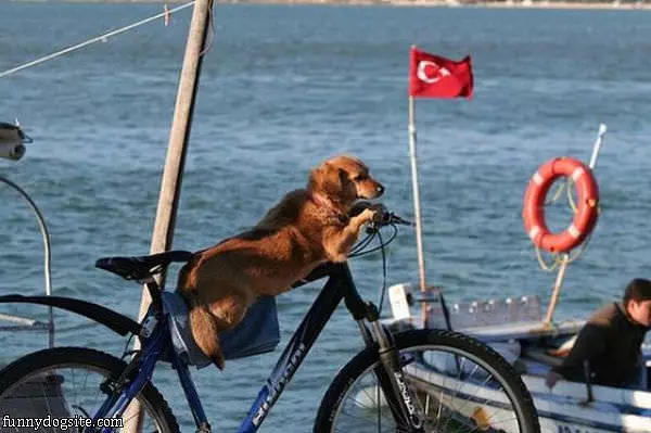 Bike Ride