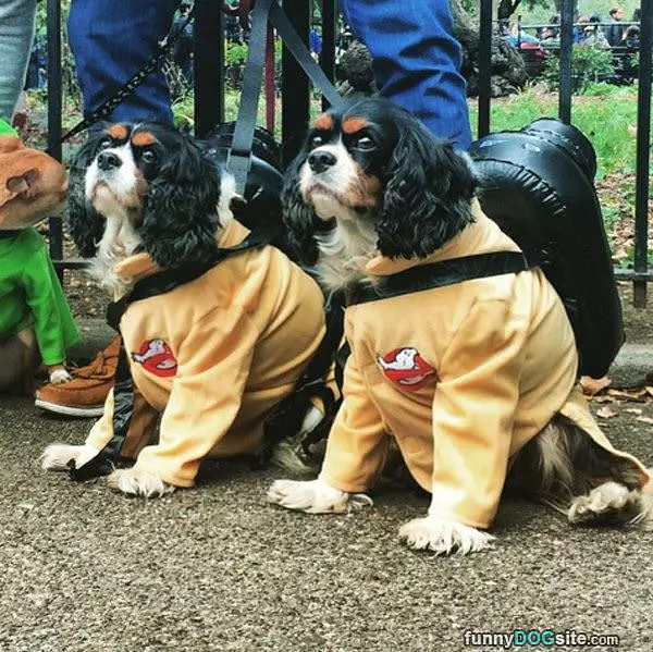 The Ghose Busters
