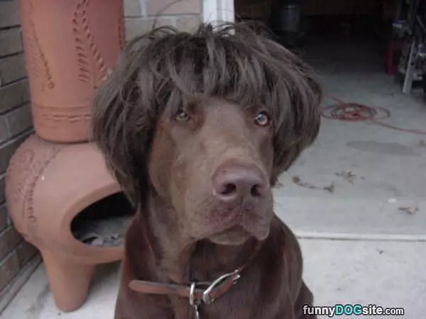 Beatles Impersonator