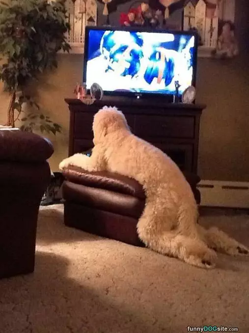 Watching Some Tv