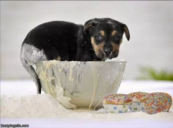 In The Bowl