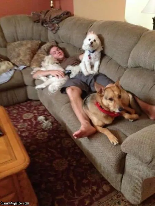 Taking A Nap Here