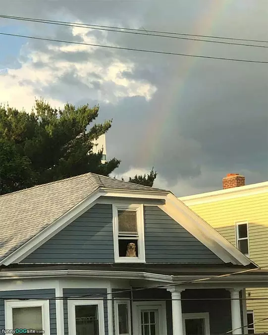 Out The Window