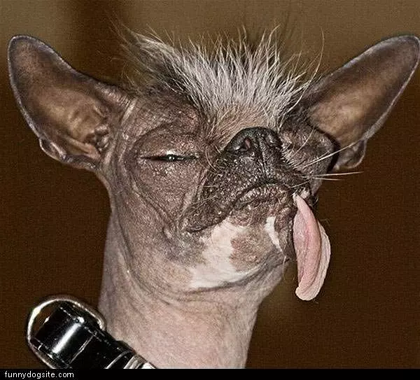 Tongue Out