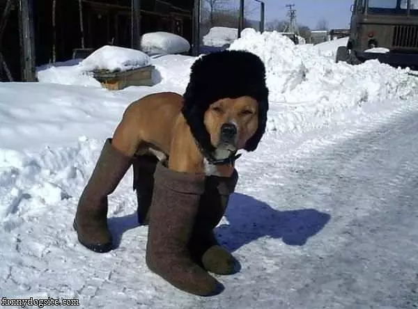 Nice Boots