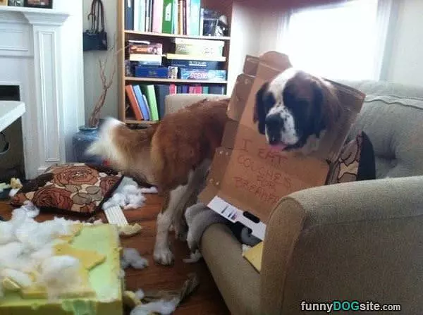 I Eat Couches For Breakfast