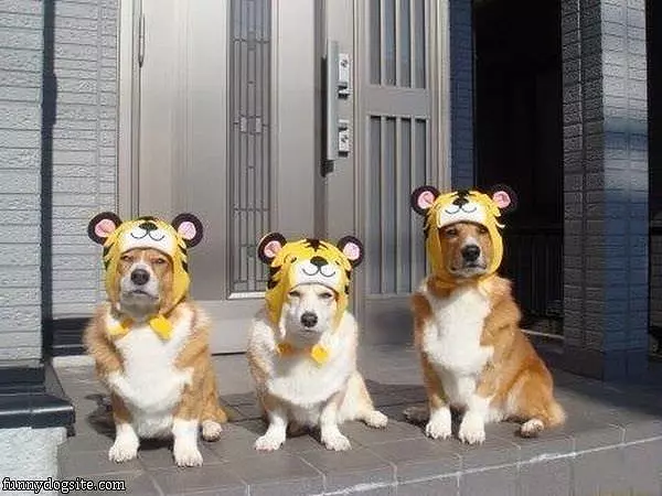 Triplets