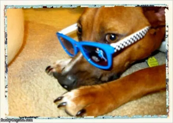 Nice Glasses