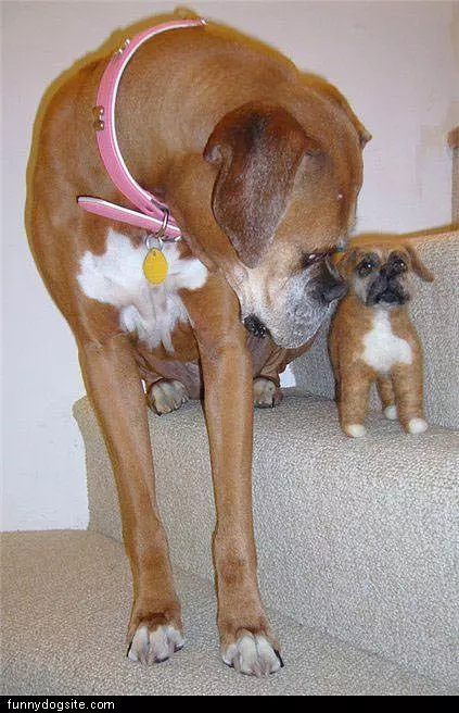 The Big And The Little