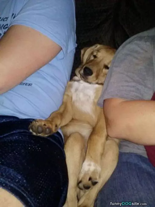 Best Seat In The House