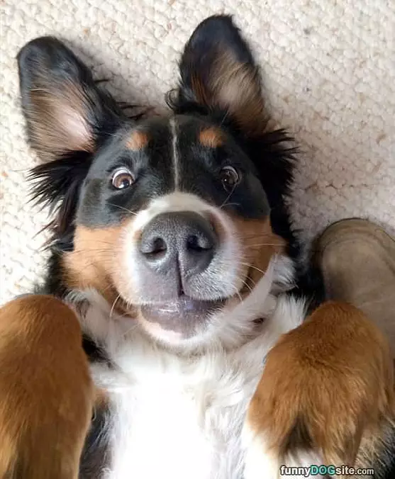 Cute Closeup