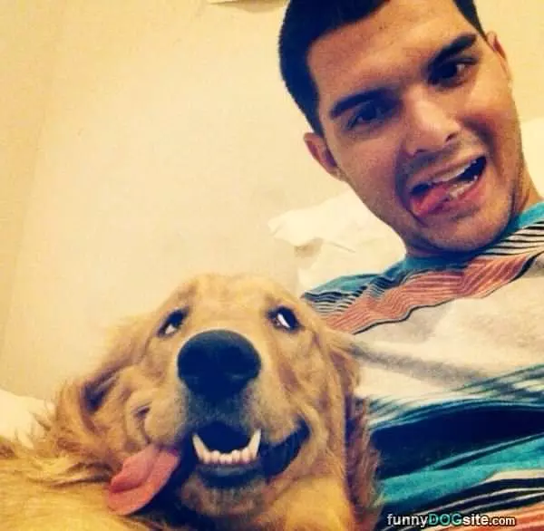 Copy Dog
