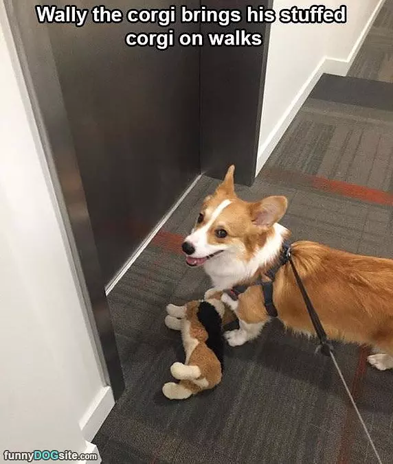 Going On A Walk
