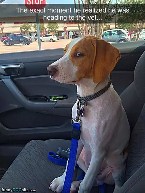 The Moment He Realized