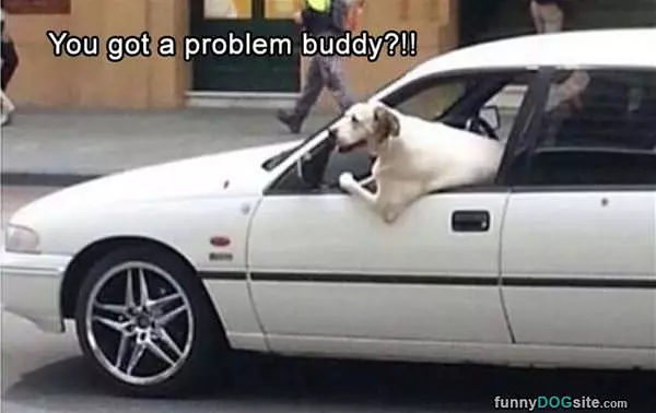 Yea You Got Problems