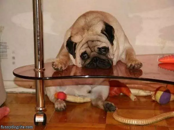 I Is Stuck