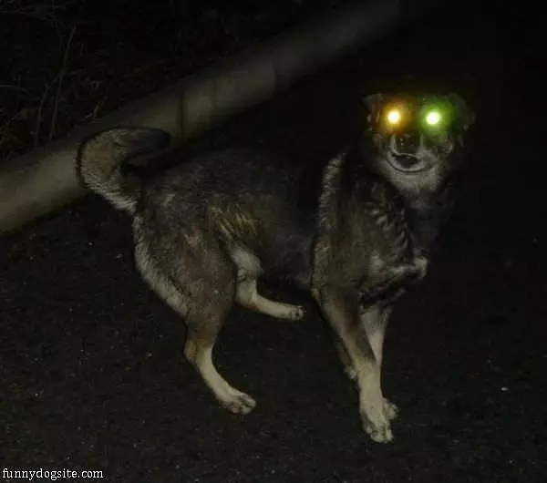 Fully Charged
