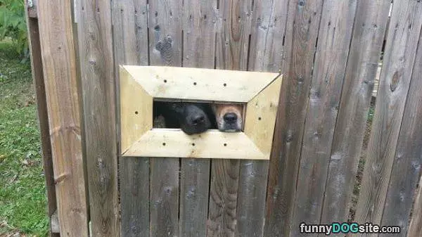 We Are Watching You