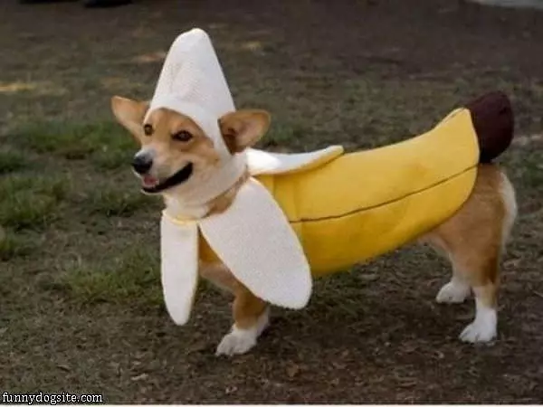 Banana
