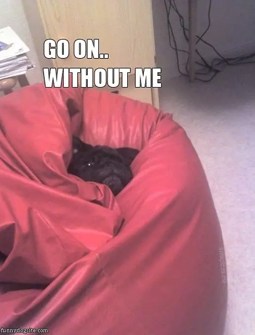 Go Without Me