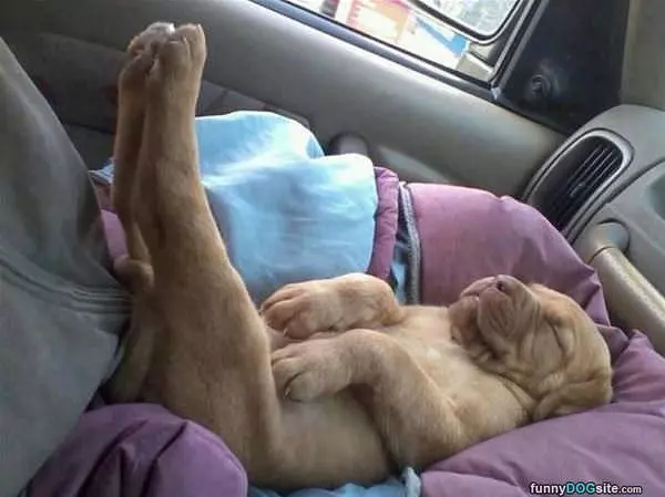 Feet Up Relaxing