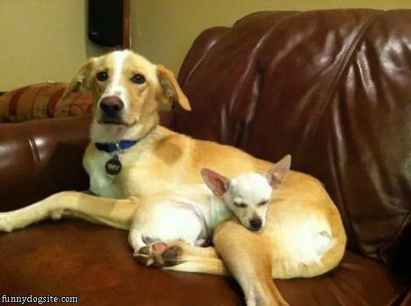 We Are Relaxing Together