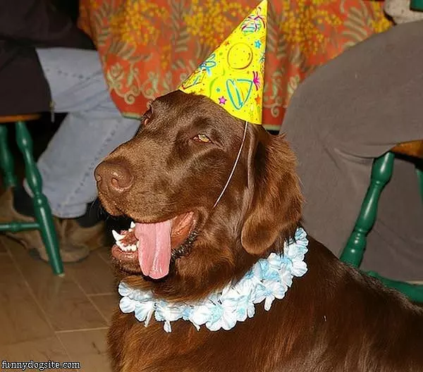 Its Mah Birthdays