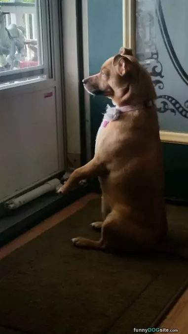 Sit How I Want