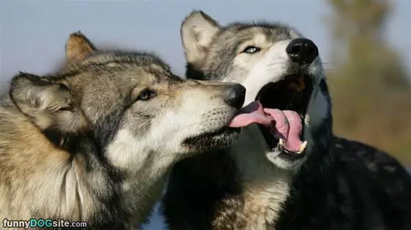 French Kiss