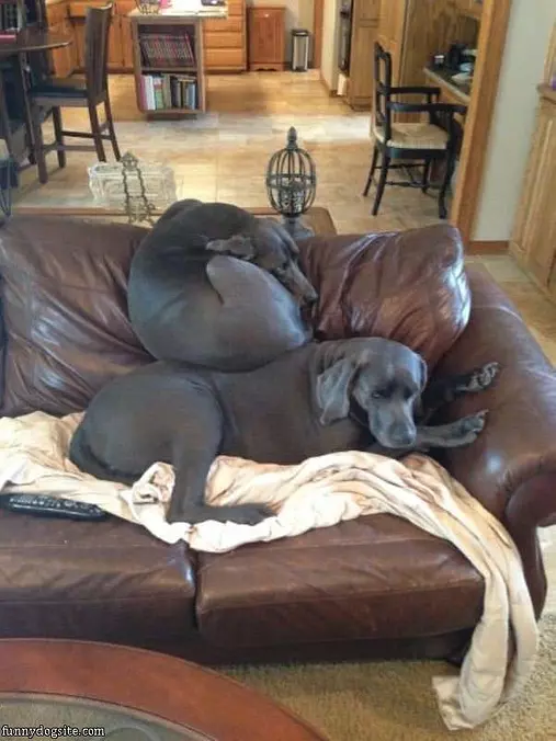 Hey Its My Spot