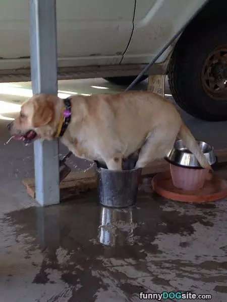 Cooling Off A Little