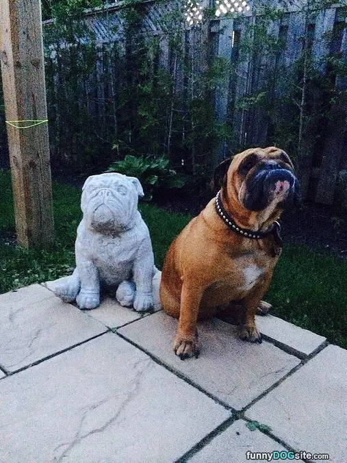 Looks Nothing Like Me