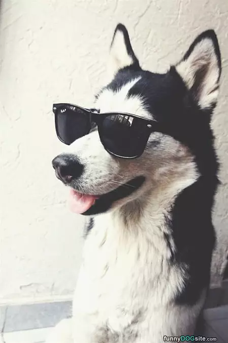 The Coolest