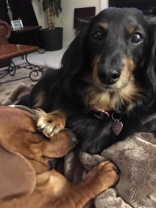 Well Hello There