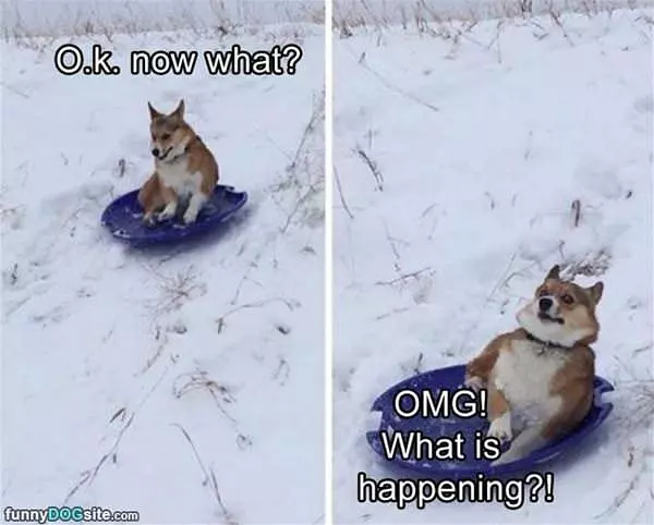Ok Now What