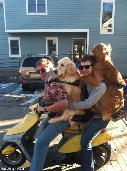 We All Fit Nicely