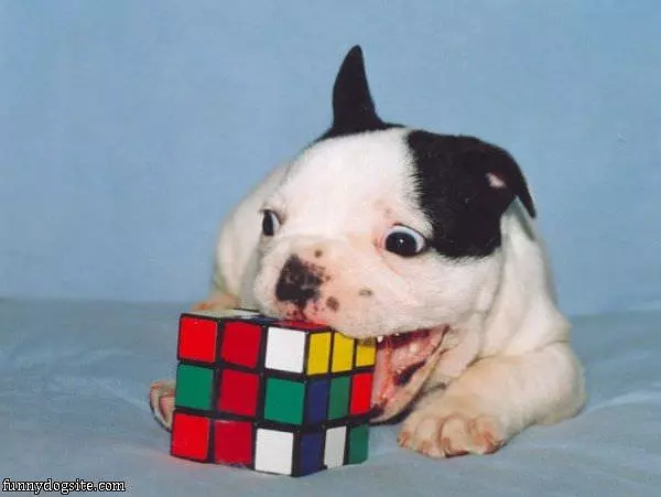 I Can Solve This