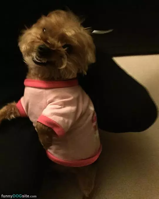 Smiling Big For The Camera