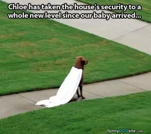 Home Security