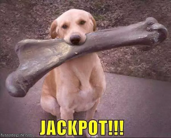 Jackpot