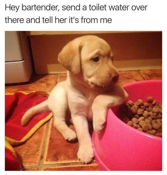 Hey Bartender