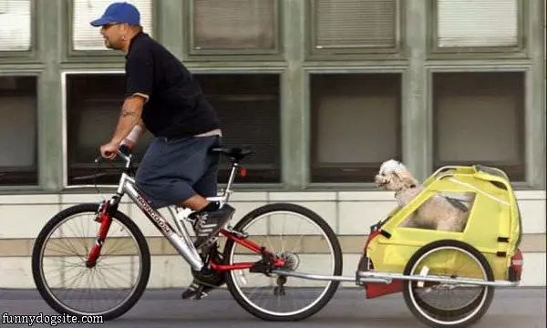 Going For A Ride